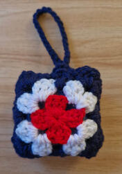 Ear bud case